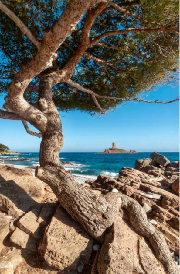 le petit sémaphore Saint-Raphaël Exterior foto